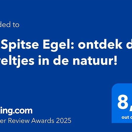 De Spitse Egel: Ontdek De Pareltjes In De Natuur! Otterlo Exterior foto