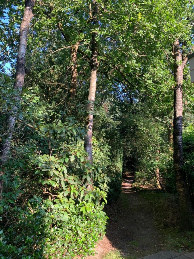 De Spitse Egel: Ontdek De Pareltjes In De Natuur! Otterlo Exterior foto